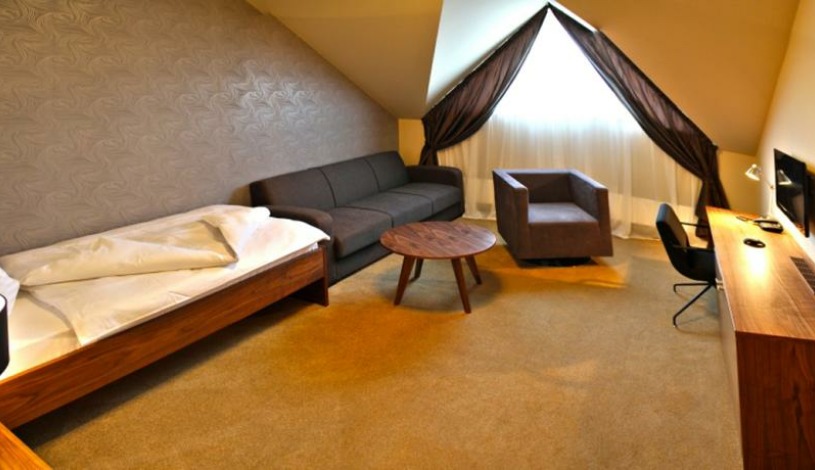 Větruše Hotel& restaurant **** Ústí nad Labem - Jednolůžkový pokoj Standard